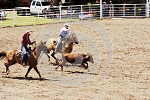 Team Roping