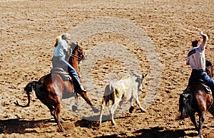 Team Roping