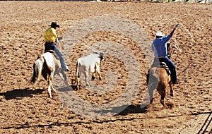 Team Roping