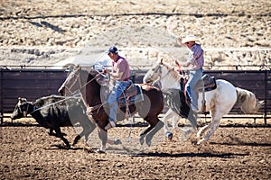 Team Roping Competition