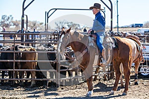 Team Roping Competition