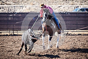 Team Roping Competition