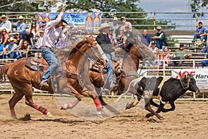 Team Roping