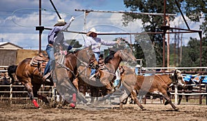 Team Roping