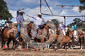 Team Roping