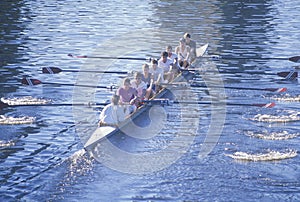 Team of Rowers