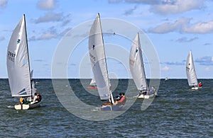 Team sailing on the open water