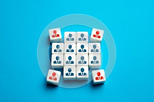 Team size decrease. Dismissal of a part of personnel. Crisis and downsizing. Cost reduction, optimization. Collapse of the