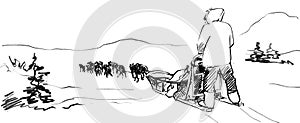 Team of sled dogs penÑil sketch