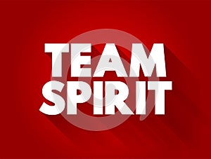 Team Spirit text business concept for presentations and reports