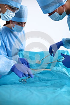 A team of surgeons at work in the operating room