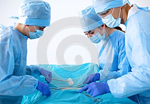A team of talented surgeons to perform the operation