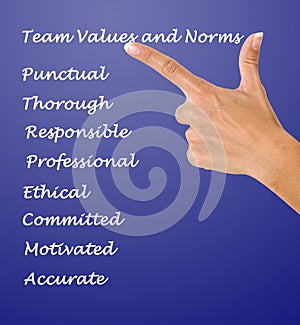 Team values and norms