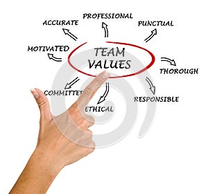 Team values and norms