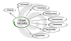 Team values and norms