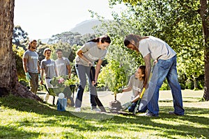 Team of volunteers gardening together