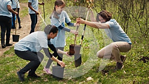 Team of volunteers planting trees around forest area for nature preservation