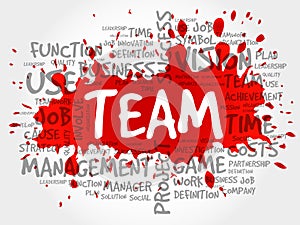 TEAM word cloud collage