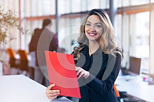 Team work discussing. Young woman with paper folder.