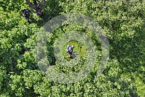 Team of worker mow the grass with brushcutters, top view