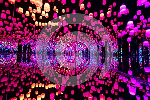 Teamlab Borderless  Show in Shanghai