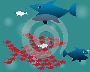 Teamwork Concept,Big Fish chasing Small fish