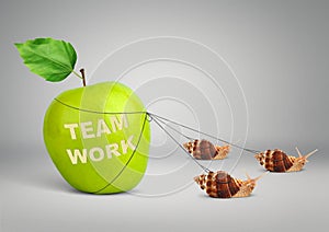 Teamwork concept, group of snails pulling big apple