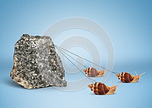 Teamwork concept, group of snails pulling big rock