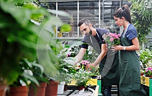 Teamwork With Happy Co-workers At Work In Florist Shop