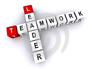 teamwork leader word block on white