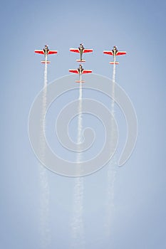 Teamwork on the sky. Royal Jordanian Falcons