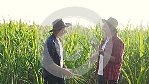 Teamwork smart farming husbandry concept slow motion video. Two men agronomist two farmers shake hands teamwork business