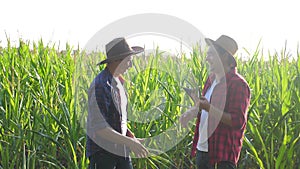 Teamwork smart farming husbandry concept slow motion video. Two men agronomist two farmers shake hands teamwork business