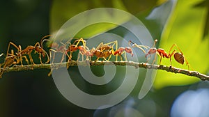 teamwork, team of ants constructing bridge. AI Generative