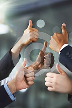 Teamwork, thumbs up or hands of business people in agreement, support or collaboration together in office. Community