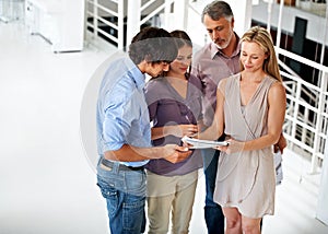 Teamwork to get the best result. A dynamic business team going over a brief together in the office.