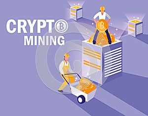Teamworkers crypto mining bitcoins