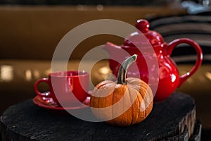 Teapot cup and pumpkin outdoor at fall