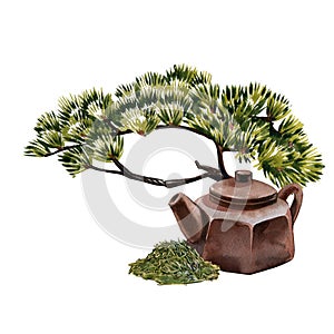 Teapot, heap dray tea and bonsai tree isolated on white background. Watercolor hand drawn illustration. Art for design