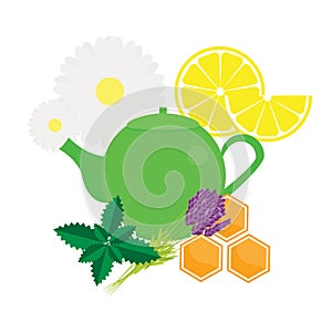 Teapot with herbals and fruits. Green Tea kettle vector illustration