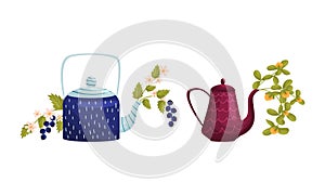 Teapot with Lid and Spout with Blooming Flowers Peeped Out Vector Set