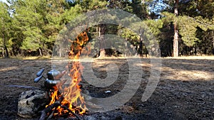 Teapot over the fire