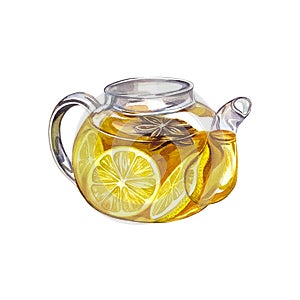 Teapot with tea. Transparent glass teapot with lemon tea. Watercolor illustration.