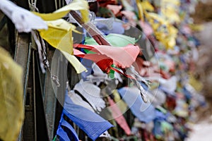 Tear colorful Tibetan prayer flags waving and swaddled with bridge over frozen river at Thangu and Chopta valley in winter.