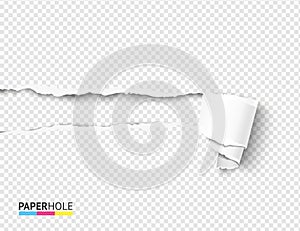 Tear off paper scroll and rip hole blank concept. Vector illustration