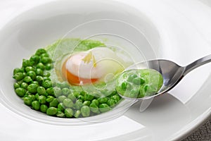 Tear peas with poached egg, spanish basque cuisine photo