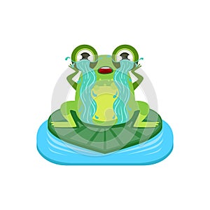 Tearful Cartoon Frog Character