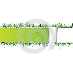 Tearing paper and grass vector