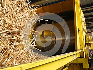 Tearing straw