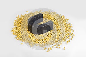 Technical analysis of barley grain. Magnet on grain. Determination of metal impurities